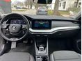 SKODA OCTAVIA 2024/7 - 8
