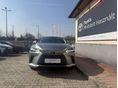 LEXUS RX 2024/12 - 6