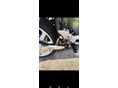 HONDA VFR 800 2000 - 5