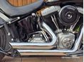 HARLEY-DAVIDSON SOFTAIL 2013/6 - 3
