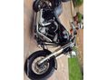 HARLEY-DAVIDSON SOFTAIL 2013/6 - 5