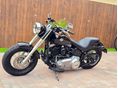 HARLEY-DAVIDSON SOFTAIL 2013/6 - 6