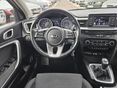 KIA CEE'D 2019/6 - 11