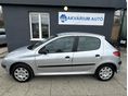 PEUGEOT 206 2003/12 - 3