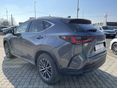 LEXUS NX 2026/1 - 2