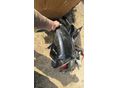 HONDA CBR 600 F2 1992/12 - 15