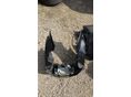 HONDA CBR 600 F2 1992/12 - 20