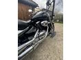 SUZUKI VL 800 (INTRUDER) 2001/5 - 2