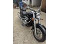 SUZUKI VL 800 (INTRUDER) 2001/5 - 7