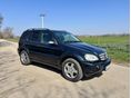 MERCEDES-BENZ ML 55 AMG 2001/6 - 3