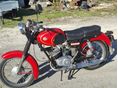 PANNONIA P21 