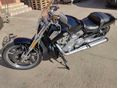 HARLEY-DAVIDSON V-ROD (VRSCA) muscle
