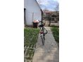 BICYCLE Gepida Alboin 200