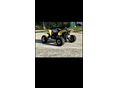 SUZUKI LT-R 450 2008/6 - 3