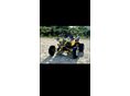 SUZUKI LT-R 450 2008/6 - 1