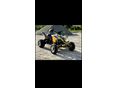 SUZUKI LT-R 450 2008/6 - 7