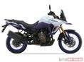 SUZUKI DL 800 DE 2025 - 1