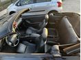 PONTIAC FIREBIRD 1996 - 10