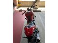 DUCATI MONSTER 821 2018/8 - 3