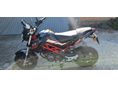 BENELLI TNT 125 2024/2 - 2