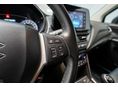 SUZUKI S-CROSS 2022/3 - 13