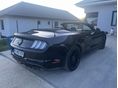 FORD MUSTANG 2021/10 - 2