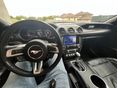 FORD MUSTANG 2021/10 - 6