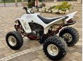 YAMAHA YFM 350 2004/5 - 5