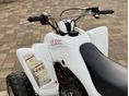 YAMAHA YFM 350 2004/5 - 8