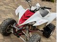YAMAHA YFM 350 2004/5 - 9
