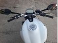 DUCATI MONSTER 821 2016/3 - 4
