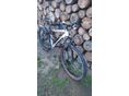 BICYCLE 2015/1 - 2