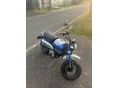 HONDA Z 125 MONKEY 2022/6 - 2