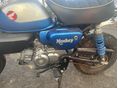 HONDA Z 125 MONKEY 2022/6 - 4