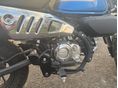 HONDA Z 125 MONKEY 2022/6 - 5