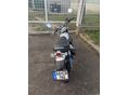 HONDA Z 125 MONKEY 2022/6 - 6