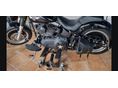 HARLEY-DAVIDSON FAT BOY 2010/2 - 3