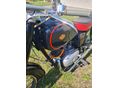 PANNONIA T5 1970 - 2