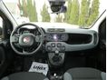 FIAT PANDA 2019 - 11