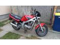 SUZUKI GS 500 E 2001/2 - 6