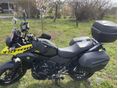 SUZUKI DL 250 