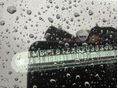 SKODA OCTAVIA 2011/8 - 27