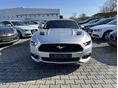 FORD MUSTANG 2015/4 - 2