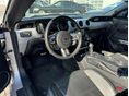 FORD MUSTANG 2015/4 - 8