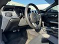 FORD MUSTANG 2015/4 - 12