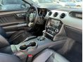 FORD MUSTANG 2015/4 - 15