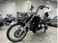 HARLEY-DAVIDSON SOFTAIL 1993/3 - 8
