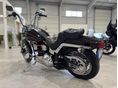 HARLEY-DAVIDSON SOFTAIL 1993/3 - 9