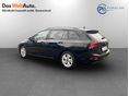 VOLKSWAGEN GOLF 2025/4 - 2