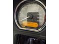 HARLEY-DAVIDSON TRI GLIDE ULTRA 2021/4 - 7